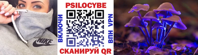 Галлюциногенные грибы Magic Shrooms  маркетплейс как зайти  Комсомольск  ОМГ ОМГ ТОР 